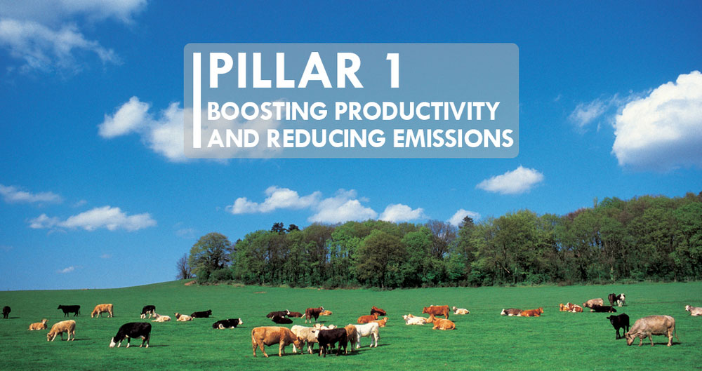 NFU net zero Pillar 1 image