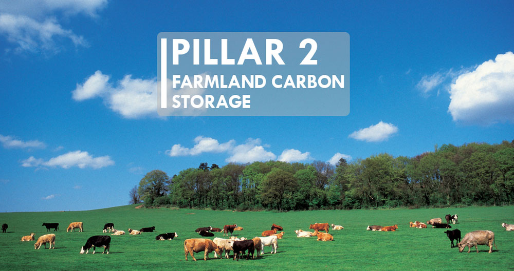 NFU net zero Pillar 2 image