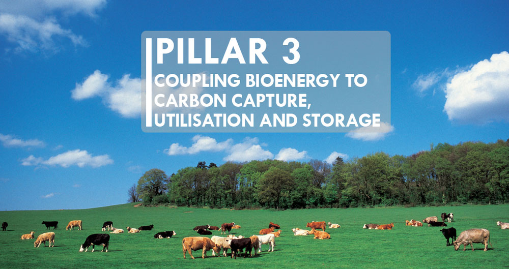 NFU net zero Pillar 3 image