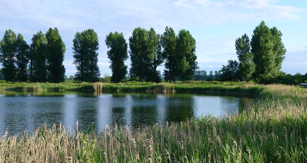 A norfolk reservoir