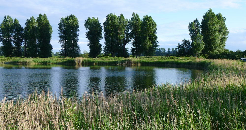 A norfolk reservoir
