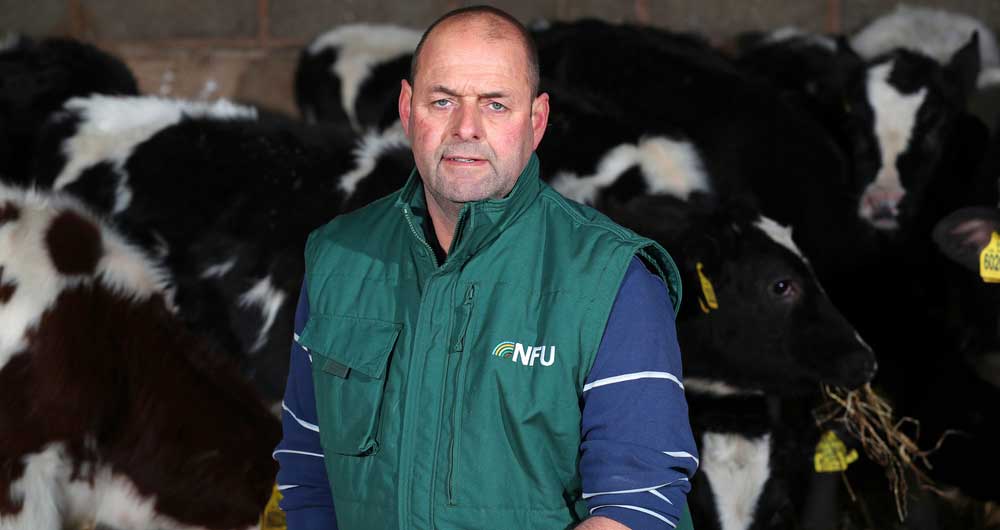 NFU Dairy Board Chairman Michael Oakes kneels in front of cows