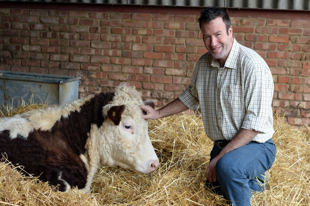 NFU Vice President Stuart Roberts pictured on farm with cattle