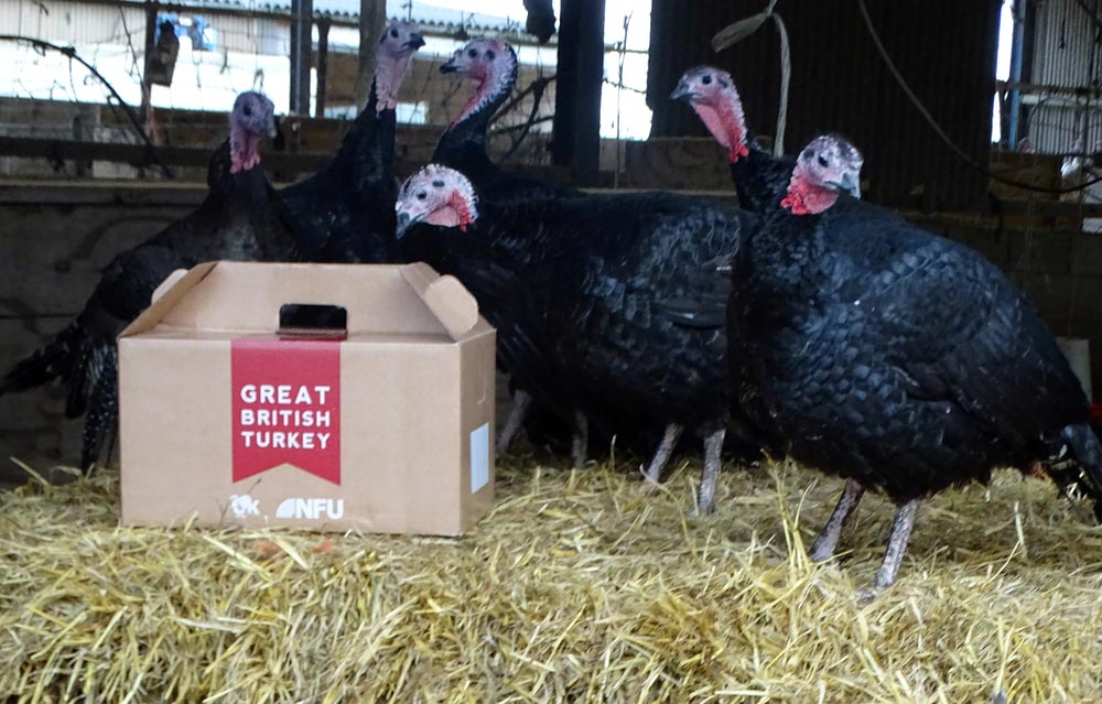 Supporting the #Buymyturkey campaign