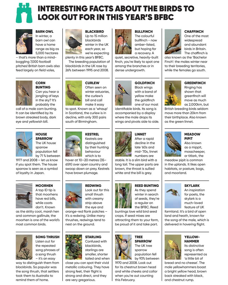 Big Farmland Bird Count 2020 - Interesting facts