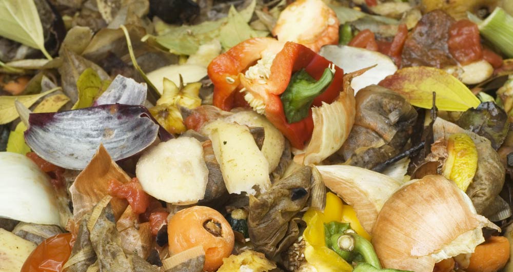 Compost heap, food waste