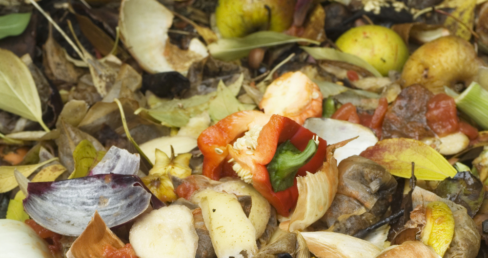 Compost heap, food waste