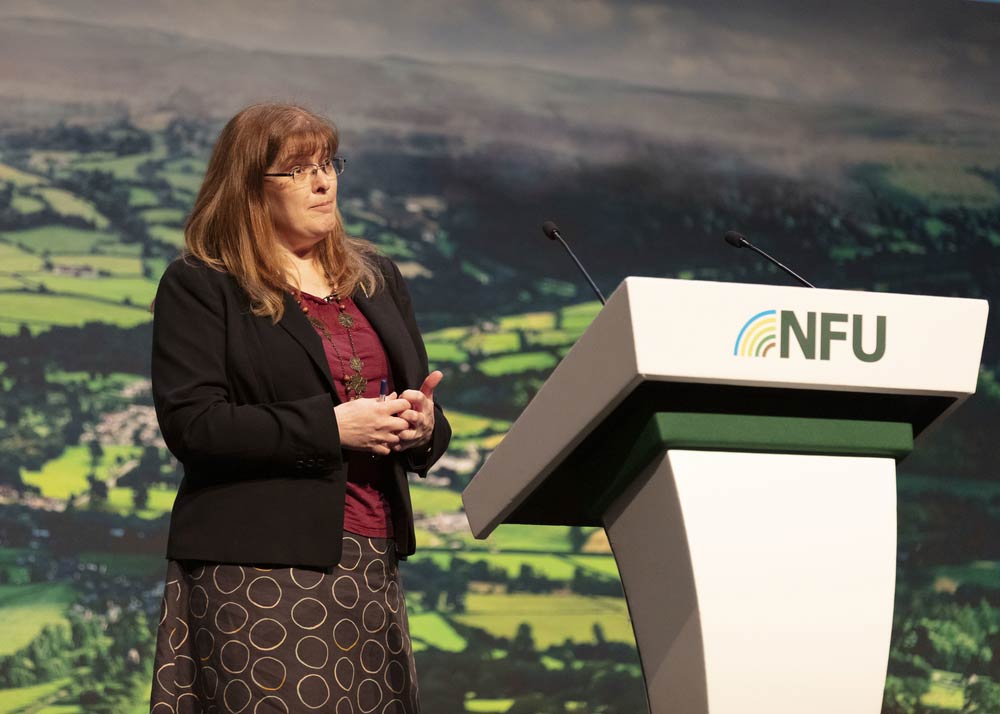 Images from the cap workshop at NFU confererence 2020