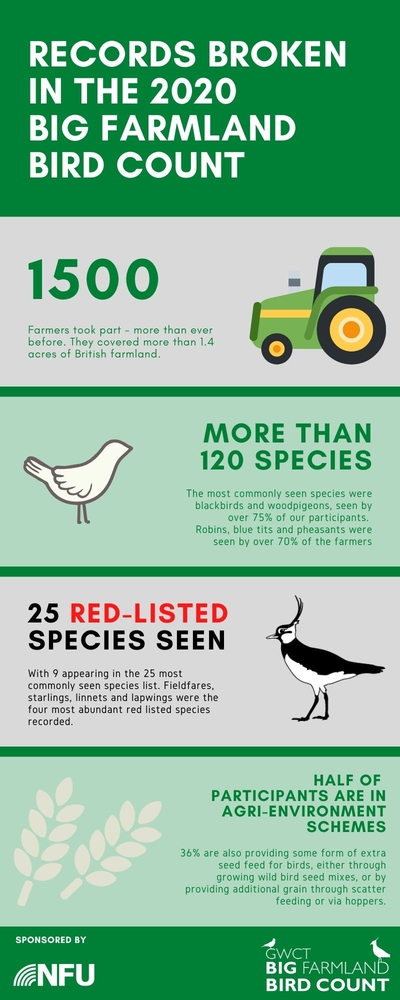 An infographic showing results of the 2020 Big Farmland Bird Count