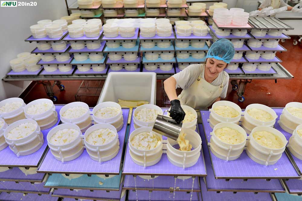 <h4>Cheese making at Fen Farm Dairy</h4> <p>Ema of Fen Farm Dairy pouring whey during the cheese-making process. The farm, near Bungay, is run by Jonny and Dulcie Crickmore, who diversified the original dairy farm with the addition of a pioneering cheese and butter making business. Photo: Nikon D4 + 24mm F2.8 1/200 @ F4 ISO 1250</p> <p>Warren’s comments: <em>Another diversification shot - challenging lighting and backdrop as food production can be very clinical in some aspects but I came away happy with this different angle on the Baron Bigod cheese being produced.</em></p> 