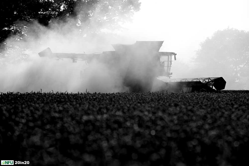 <h4>Harvesting at East Bergholt</h4><p>Harvest continues at Richardsons Farm, East Bergholt, close to the Essex border in late August 2019. Photo: Nikon D4s + 80-200mm F2.8 175mm 1/1600 @ F8 ISO 200</p><p>Warren’s comments: </em>This was taken very close to home, I had been waiting for weeks for the harvest to be done in the fields where I walk my dogs. That morning I went out on another job and cursed that the work had started just when I couldn’t be around. I rushed home to find the harvest still going ahead. I just stood and watched for a while, observing the way the light came through the dust clouds being thrown up by the combine.</em></p>