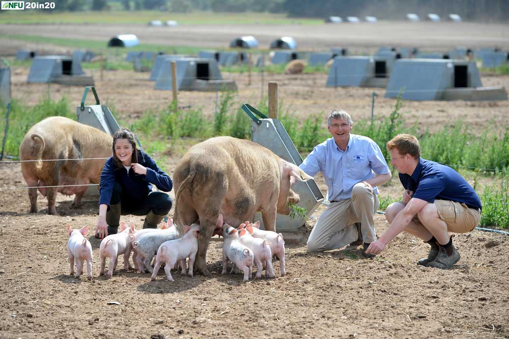 <h4>Outdoor pigs at Great Saxham near Bury St Edmunds</h4><p>George Gittus pictured with his daughter Hetty and son Freddie with a sow and piglets near Brandon. His family has farmed in west Suffolk for more than 150 years. As well as the outdoor pig enterprise, the farm includes arable crops, a business park and an anaerobic digestion plant. Photo: Nikon D4 + 80-200mm F2.8 130mm 1/2500 @ F5 ISO 400</p><p>Warren’s comments: <em>This shoot was pretty quiet until I suggested that George hold a piglet for an alternative shot to this one. The piglet squealed, the sow moved towards us and then the piglet decided to make a mess all down George’s nice clean shirt.</em></p>
