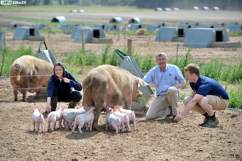 <h4>Outdoor pigs at Great Saxhum near Bury St Edmunds</h4><p>George Gittus pictured with his daughter Hetty and son Freddie with a sow and piglets near Brandon. His family has farmed in west Suffolk for more than 150 years. As well as the outdoor pig enterprise, the farm includes arable crops, a business park and an anaerobic digestion plant. Photo: Nikon D4 + 80-200mm F2.8 130mm 1/2500 @ F5 ISO 400</p><p>Warren’s comments: <em>This shoot was pretty quiet until I suggested that George hold a piglet for an alternative shot to this one. The piglet squealed, the sow moved towards us and then the piglet decided to make a mess all down George’s nice clean shirt.</em></p> <h4>Outdoor pigs at Great Saxham near Bury St Edmunds</h4><p>George Gittus pictured with his daughter Hetty and son Freddie with a sow and piglets near Brandon. His family has farmed in west Suffolk for more than 150 years. As well as the outdoor pig enterprise, the farm includes arable crops, a business park and an anaerobic digestion plant. Photo: Nikon D4 + 80-200mm F2.8 130mm 1/2500 @ F5 ISO 400</p><p>Warren’s comments: <em>This shoot was pretty quiet until I suggested that George hold a piglet for an alternative shot to this one. The piglet squealed, the sow moved towards us and then the piglet decided to make a mess all down George’s nice clean shirt.</em></p>