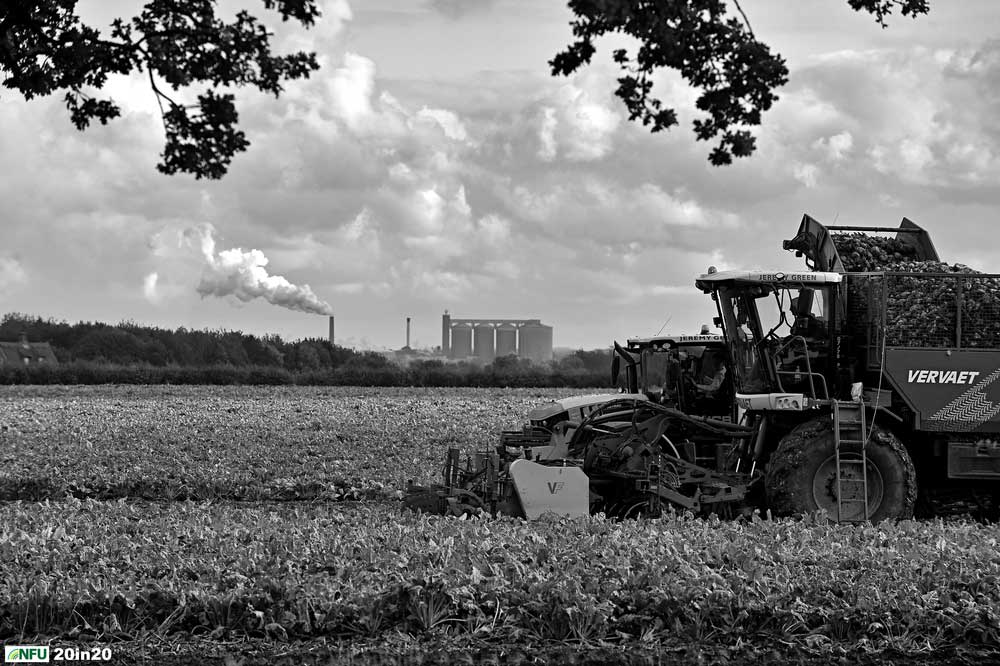 <h4>Harvesting sugar beet at Risby</h4> <p>Harvesting sugar beet at Risby, with British Sugar’s Bury St Edmunds factory processing beet in the background. Around one in every seven bags of British sugar is produced in Suffolk. Photo: Nikon D4s + 80-200mm F2.8 (200mm) 1/1600 @ F9 ISO 400</p> <p>Warren’s comments: <em>The brief was to get a beet harvesting shot with the factory in the background - sounds simple you might think. I spent a whole afternoon trying to find the best vantage points. While going along the A14 I noticed a field with good prospects. However, finding the farmer who owned and worked said field was more difficult than anticipated. Eventually my journalistic training took over. I decided to contact the parish council clerk. If anyone would know it would be them. Within 24 hours I had a name and a contact number. Even then, when I was told at short notice that the harvest was under way, I only had a window of one hour between booked jobs to get the shot.