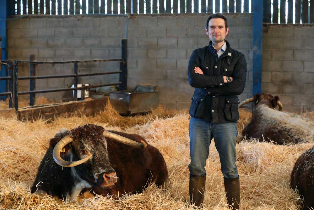 Joe Stanley, livestock farmer