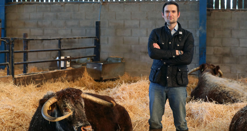 Joe Stanley, livestock farmer