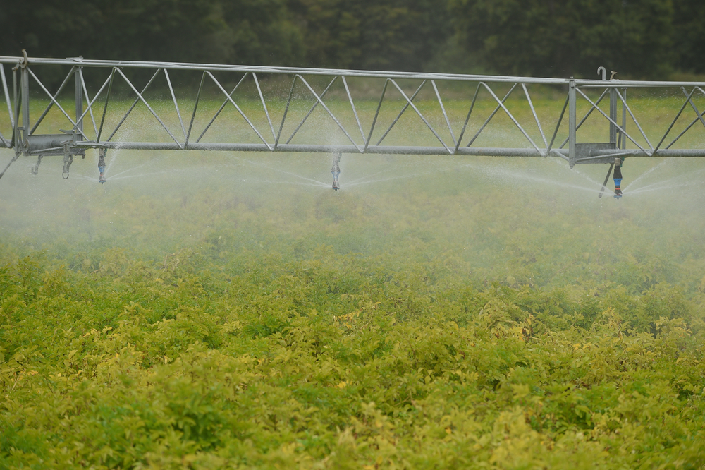 irrigating in Suffolk