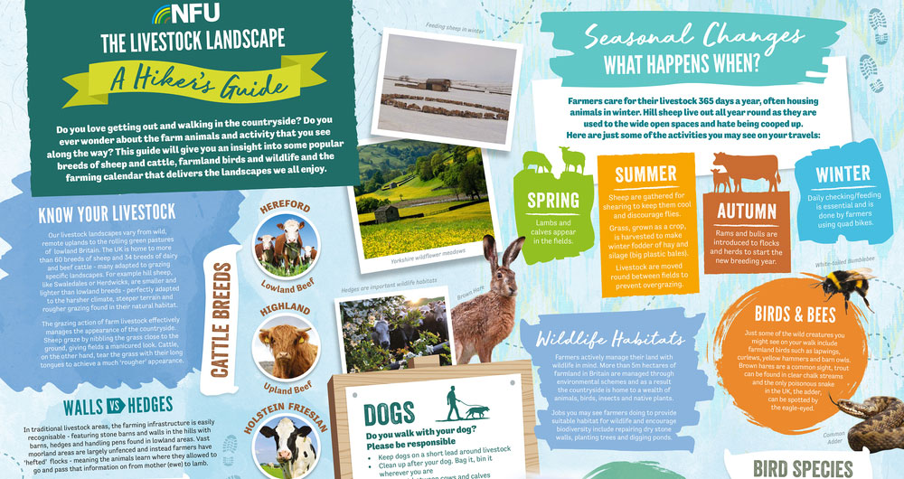 A poster showing common livestock breeds, livestock farming activity through the year and information on wildlife, birds and plants commonly found in the livestock landscape