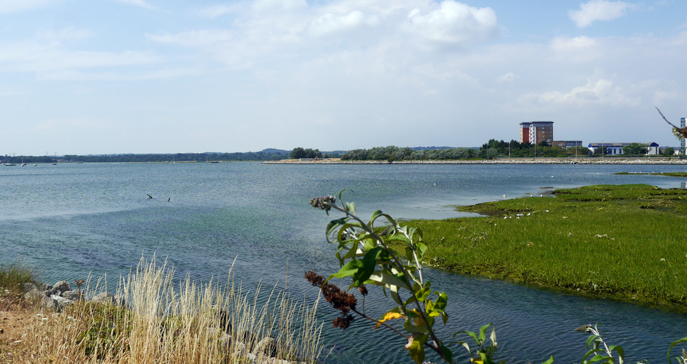 Poole Harbour, Dorset