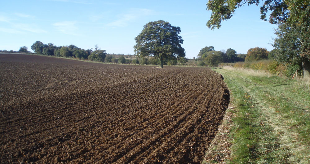 Practical advice for looking after your soil