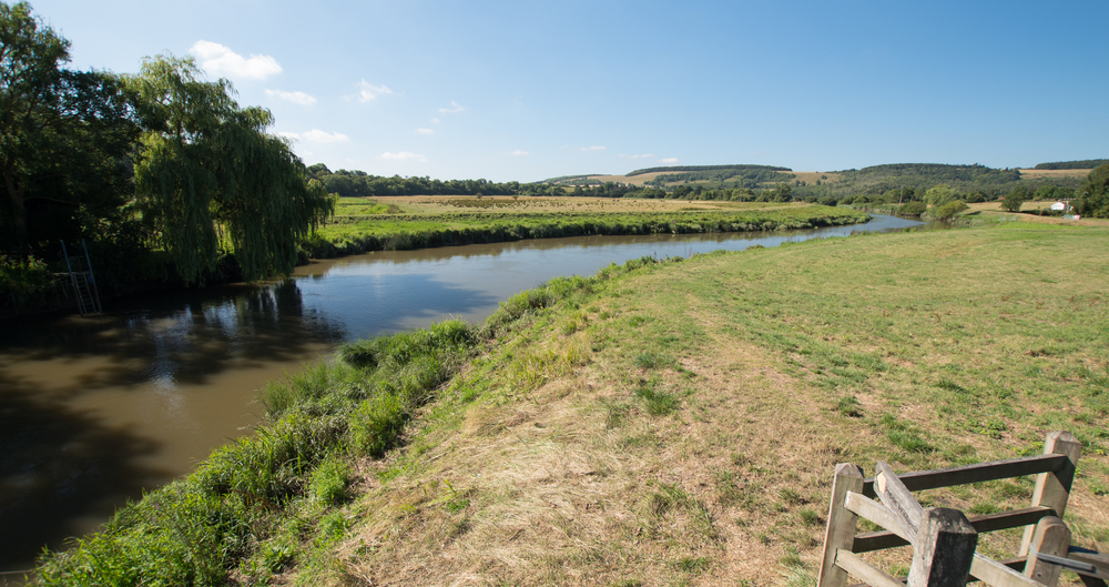 NVZ appeals window expected to open soon