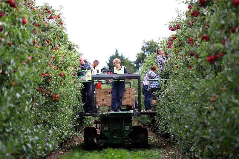 Horticulture classes near me image