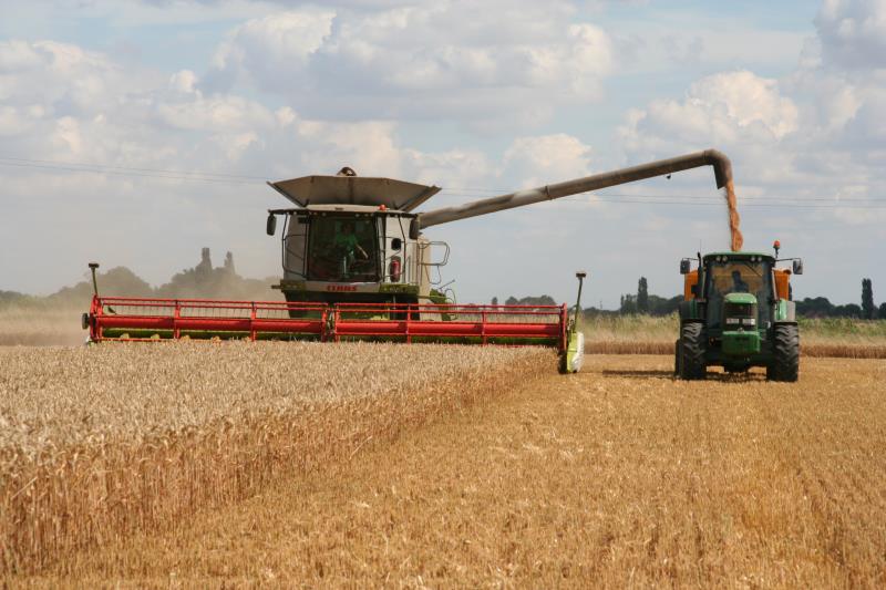 Crops Arable farming All you need to know Countryside Online