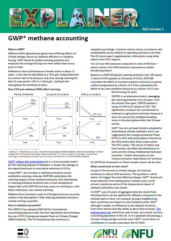 GWP* methane accounting explainer